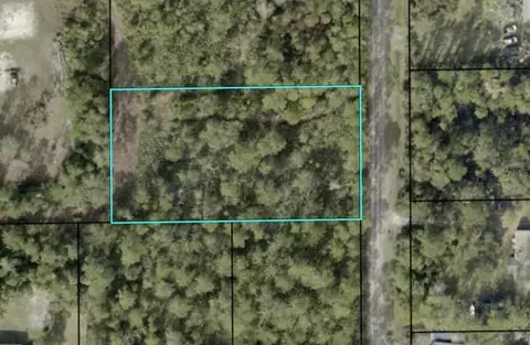 2346 Mangrove St, Bunnell, FL 32110