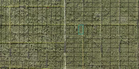 Donna Street, Hastings, FL 32145