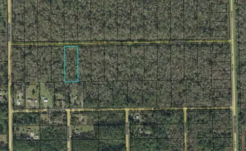 3823 Apple Ave, Bunnell, FL 32110