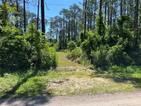 1451 Hickory St, Bunnell, FL 32110