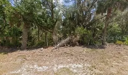 12479 W Deodar St, Crystal River, FL 34428