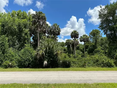 820 Paradise Blvd, Georgetown, FL 32139