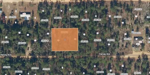 Nn Harvey Avenue, Interlachen, FL 32148