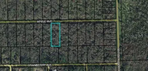 3681 Apple Ave, Bunnell, FL 32110