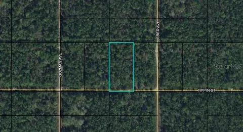 Tippin Street, Bunnell, FL 32110