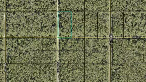 Tippin Street, Bunnell, FL 32110
