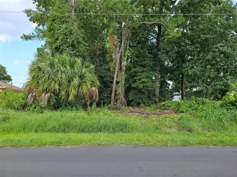 55 Woodhollow Ln, Palm Coast, FL 32164