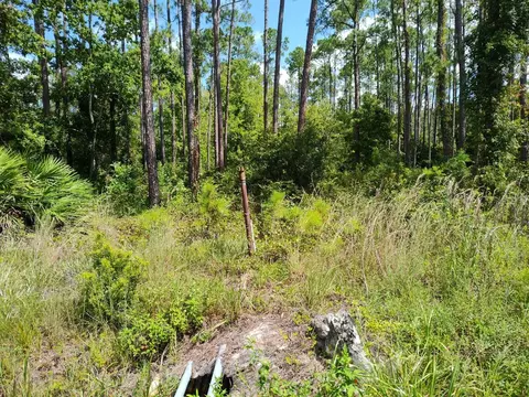 3734 Clove Ave, Bunnell, FL 32110