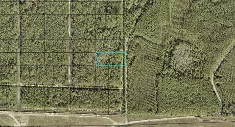 X Amos Avenue, Hastings, FL 32145