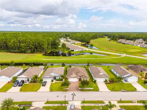View/Area - 118 Golfview Ct, Bunnell, FL 32110 photo 6 of 7