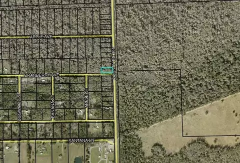 2242 Cr-305, Bunnell, FL 32110 photo 1