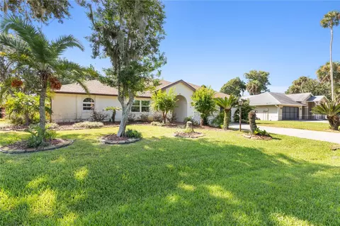 9 Black Hawk Pl, Palm Coast, FL 32137