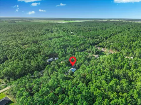 10670 Carpenter Ave, Hastings, FL 32145