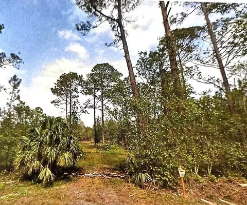 S Us Hwy 17, Pierson, FL 32180