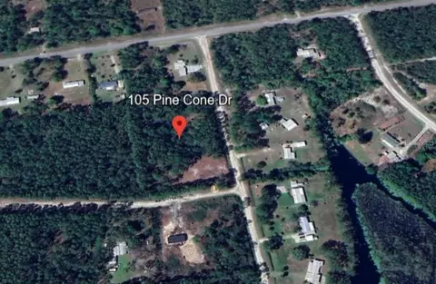 105 Pine Cone Dr, Georgetown, FL 32139 photo 8