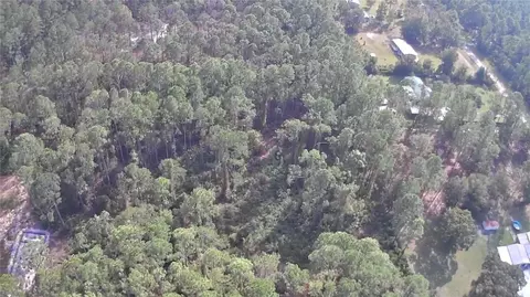105 Pine Cone Dr, Georgetown, FL 32139 photo 3