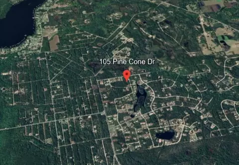 105 Pine Cone Dr, Georgetown, FL 32139 photo 7