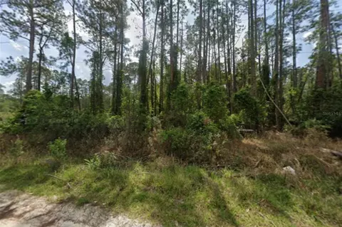 105 Pine Cone Dr, Georgetown, FL 32139