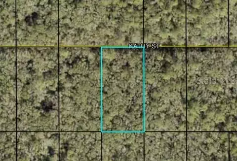 Kathy Street, Hastings, FL 32145