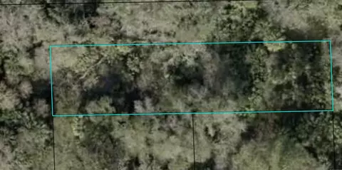 Sherman Street, Bunnell, FL 32110