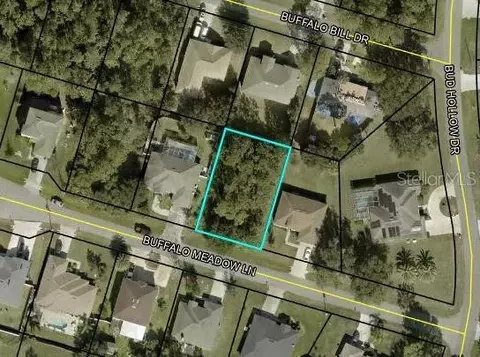 6 Buffalo Meadow Ln, Palm Coast, FL 32137