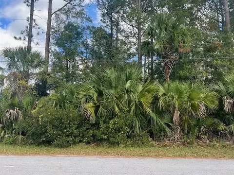9 Pinelark Ln, Palm Coast, FL 32164