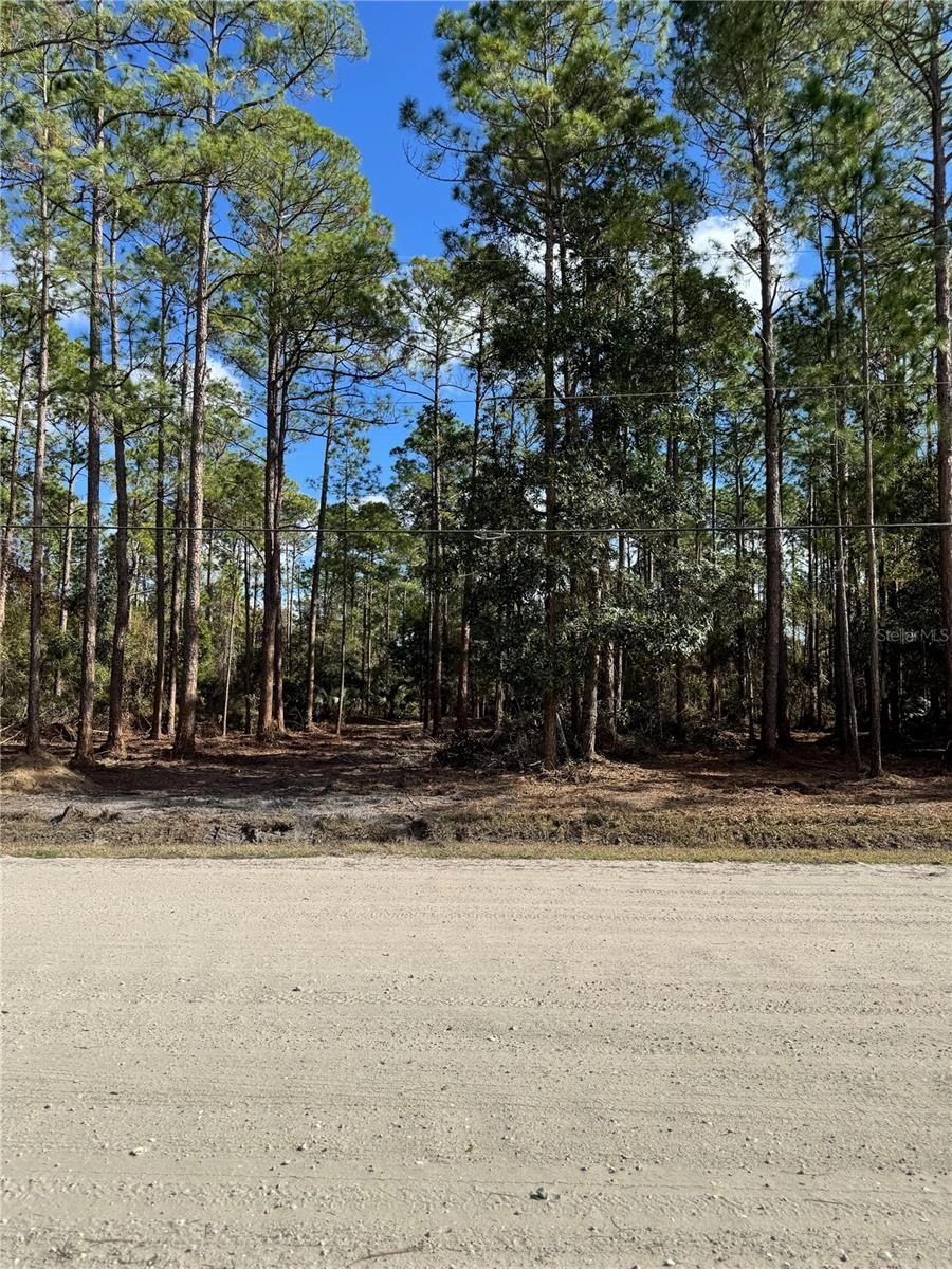 1823 Hickory St, Bunnell, FL 32110 photo 1