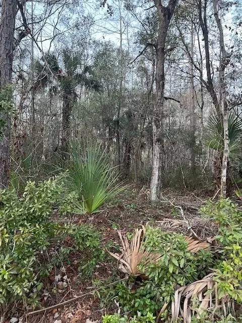3754 Cranberry Ave, Bunnell, FL 32110