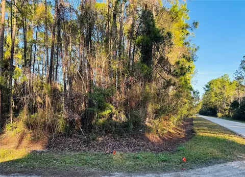 2277 Maple St, Bunnell, FL 32110 photo 1