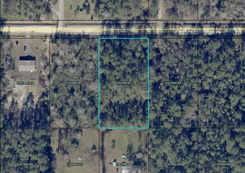4345 Gladys St, Hastings, FL 32145