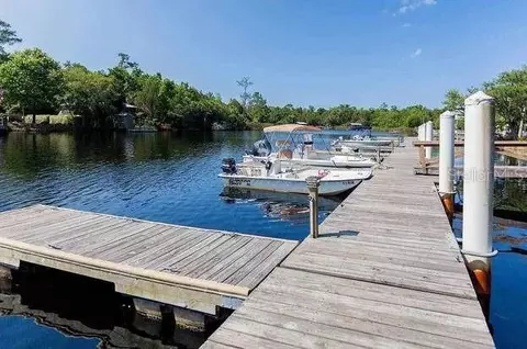 Other - 204 Virginia Ave, Steinhatchee, FL 32359 photo 7 of 11