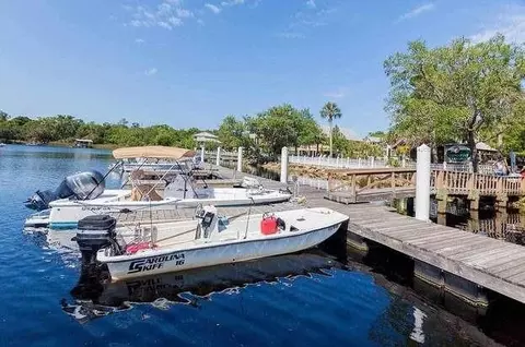 Other - 204 Virginia Ave, Steinhatchee, FL 32359 photo 8 of 11