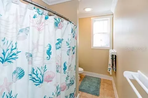 Bath - 204 Virginia Ave, Steinhatchee, FL 32359 photo 7 of 9