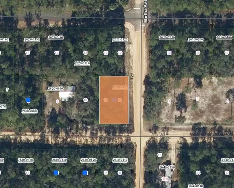 Nn Davis Street, Interlachen, FL 32148