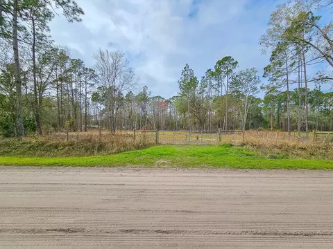 1718 Papaya St, Bunnell, FL 32110