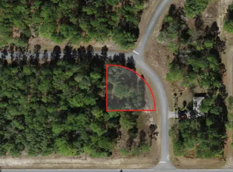 2838 W Higgins Pl, Citrus Springs, FL 34433