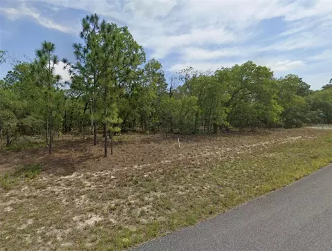 1751 W Stanton Dr, Citrus Springs, FL 34434