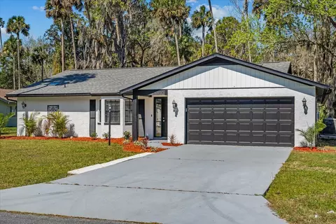 81 Black Bear Ln, Palm Coast, FL 32137