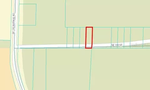 Se 110th Street, Ocklawaha, FL 32179