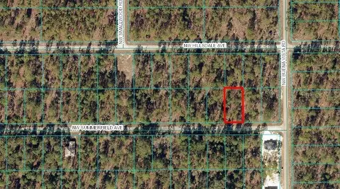 Nw Summerfield Avenue, Dunnellon, FL 34431