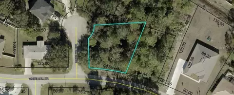 2 White Hale Pl, Palm Coast, FL 32164