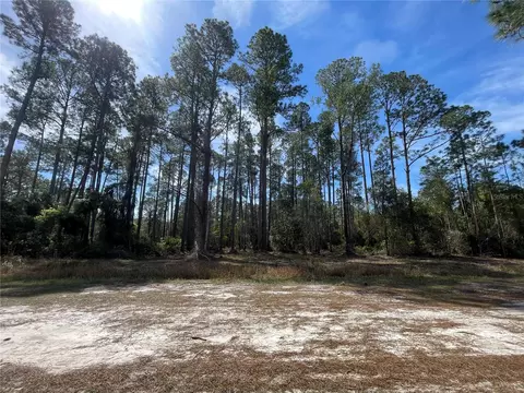105 Rosewood St, Georgetown, FL 32139