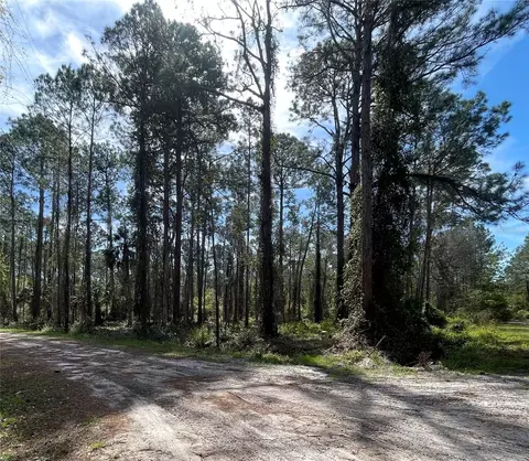 107 Rosewood St, Georgetown, FL 32139
