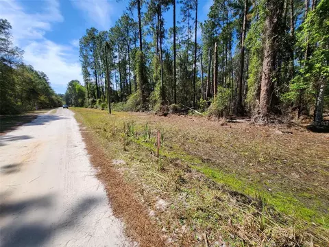 112 Mosswood St, Georgetown, FL 32139