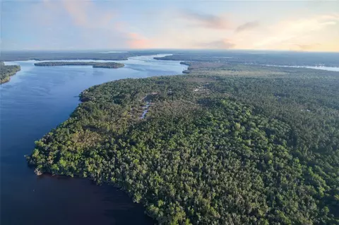 356 Drayton Island Rd, Georgetown, FL 32139 photo 13