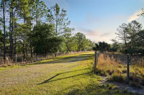 356 Drayton Island Rd, Georgetown, FL 32139 photo 26