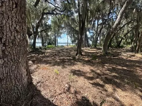 356 Drayton Island Rd, Georgetown, FL 32139 photo 38