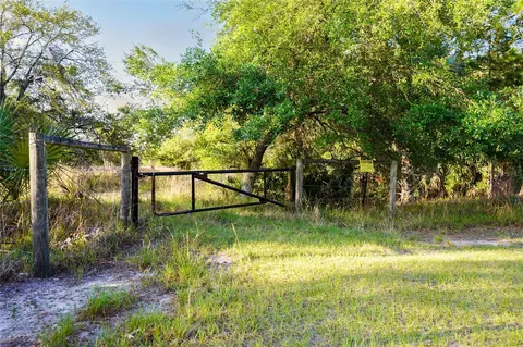 356 Drayton Island Rd, Georgetown, FL 32139 photo 25