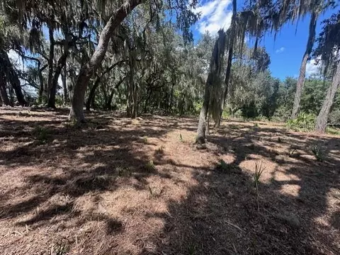 356 Drayton Island Rd, Georgetown, FL 32139 photo 40