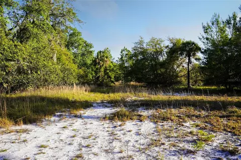 356 Drayton Island Rd, Georgetown, FL 32139 photo 30